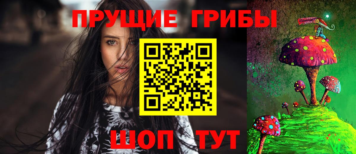 Псилоцибиновые грибы Cubensis  Вход с VPN  Вичуга 